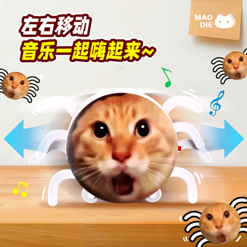 Internet Sensation Same-Style Spider Cat Toy - Hajime Abstract Cat Meme Prank Electric Crawling Toy